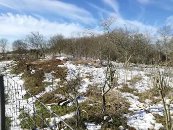 De Panne in de sneeuw (België)